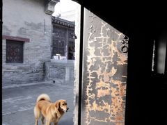 -康百万庄园