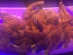 -温莎KTV(珠江路店)