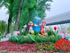 -北京野生动物园