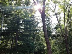 -大兴滨河森林公园