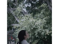 -华侨公园