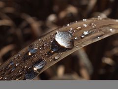 -叠溪松坪沟景区