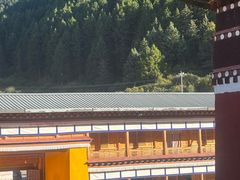 -四川郎木寺镇