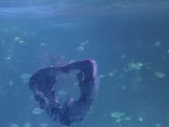 -常州海昌海洋探索馆