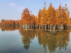 -白鹭湾湿地公园