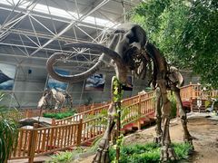 -中国第四纪冰川遗迹陈列馆