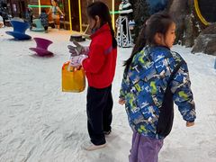 -世界之窗阿尔卑斯冰雪世界