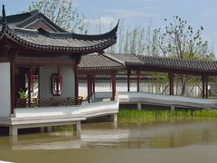 -上海滨江森林公园