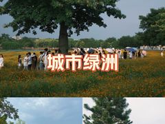 -海珠湖公园