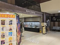 -华美国际影城(旧宫永辉店)