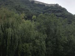 -辛玛王国游乐园