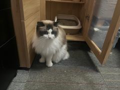 -零纪元VR体验馆·桌游(黄浦店)