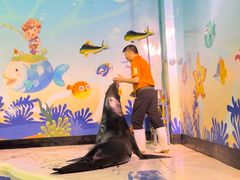 -太平洋海底世界