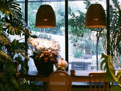 -自由生长植物工作室(深港花卉中心店)