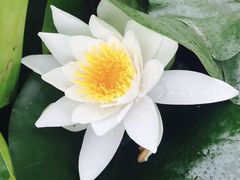 -前关湿地公园