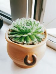 -玲珑秀身坊