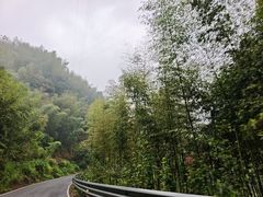-四明山国家森林公园