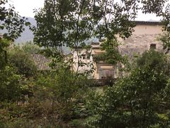 新安江山水画廊-新安江山水画廊风景区