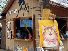 -沂蒙山旅游区云蒙景区(蒙山国家森林公园)