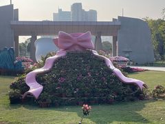 -华侨公园