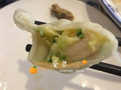 -东方饺子王(大屯路店)