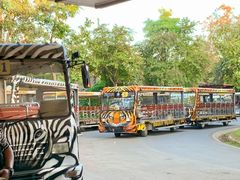 -清迈夜间动物园