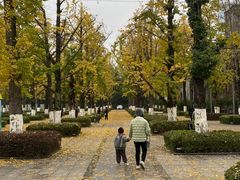 -百林公园-两江幸福广场