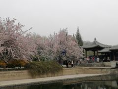 -元大都城垣遗址公园