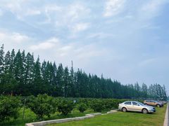 -前小桔亲子创意农场·草莓采摘·露营烧烤