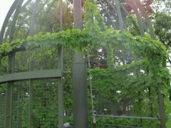 -三鹰之森吉卜力美术馆