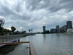 -金沙湖公园