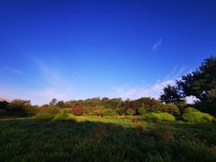 -济南国际园博园