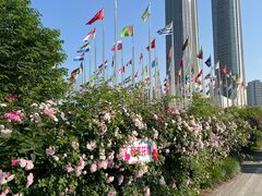 -南京国际青年文化中心