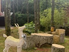 -洛阳白云山景区