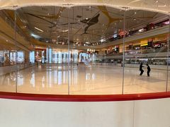 -冠军冰场CHAMPION RINK(苏州中心商场店)