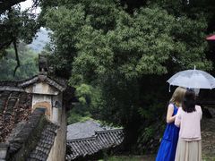 -杨家堂村