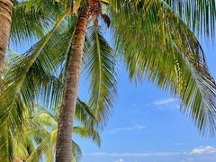 -三亚南山文化旅游区