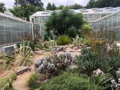 -昆明植物园