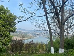 -金海湾滨江公园