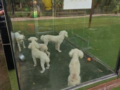 -呀路古热带植物园