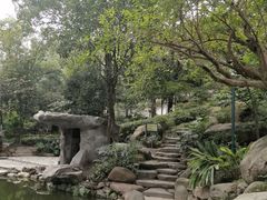 -南山植物园