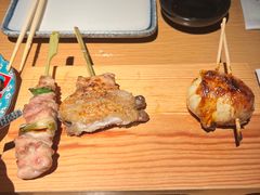 -鳥焱商店(王府大街店)