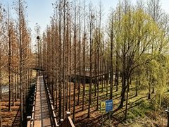 -双山岛