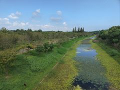 -上海海湾国家森林公园