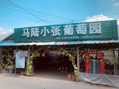 -马陆小张葡萄园农家乐