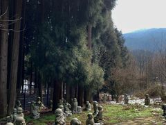-武陵山森林公园