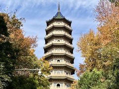 -灵谷景区