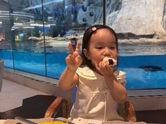 -帝企鹅自助餐厅•儿童岛•真企鹅(长隆企鹅酒店)