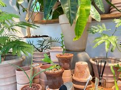 -自由生长植物工作室(深港花卉中心店)