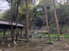 -千岛湖东南湖区